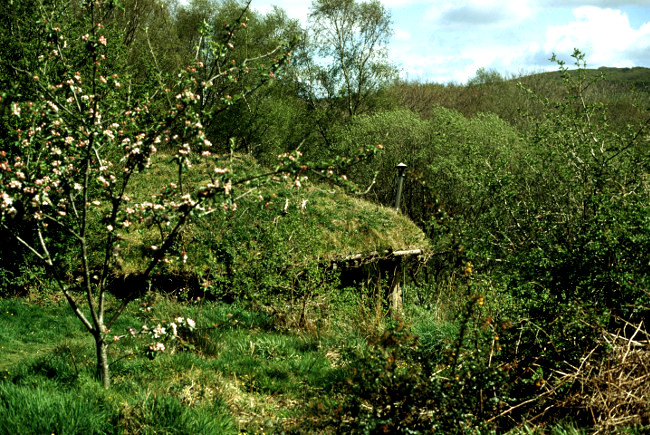 the ecological roundhouse blends in perfectly with the grass and trees